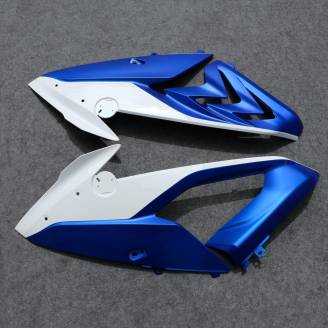 Complete and painted fairings in abs SBK15