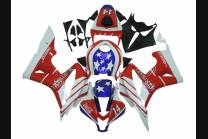 Carenados en abs pintados para la calle compatible con Honda CBR 600 RR 2007 - 2008 - MXPCAV13056