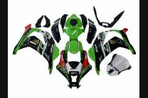 Lackierte Straße Verkleidung auf ABS kompatibel mit Kawasaki ZX10R 2016 - 2020 - MXPCAV13153