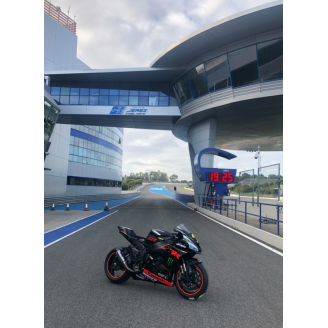 Kawasaki Zx10R 2016 - 2020 Verkleidungen Lackiert + Schrauben, Schnellverschlüsse MXPCRV13157