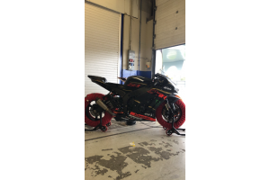 Lackierte Rennverkleidung Kawasaki Zx10R 2016 - 2020 - MXPCRV12538