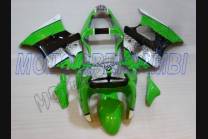 Carenados en abs pintados para la calle compatible con Kawasaki ZX6R 2000 - 2002 - MXPCAV1899