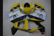 Lackierte Straße Verkleidung auf ABS kompatibel mit Yamaha R6 1999 - 2002 - MXPCAV1902