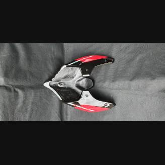 Lackierte Rennverkleidung Ducati Panigale V4 R 2019 - 2021 - MXPCRV12536