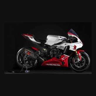 Carenado Racing Pintado Yamaha R1 2015 - 2019 + tornillos, tornillos rapidos - MXPCRV13932