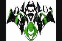 Lackierte Straße Verkleidung auf ABS kompatibel mit Kawasaki ZX6R 636 2013 - 2018 - MXPCAV13940