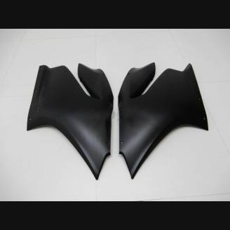 Carenage en abs pour la roue avec peinture compatible avec Ducati 899 1199 Panigale - MXPCAV13041