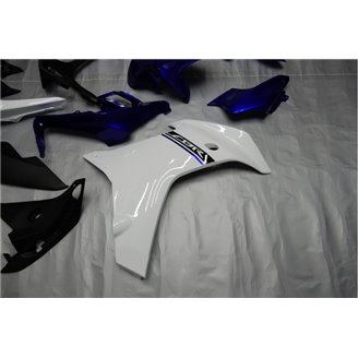 Lackierte Straße Verkleidung auf ABS kompatibel mit Honda CBR 600F 2011 - 2013 - MXPCAV14230