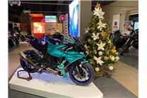 Lackierte Rennverkleidung Yamaha R1 2015 - 2019 - MXPCRV12929