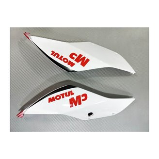 Painted street fairings in abs compatible with Ducati 899 1199 Panigale - MXPCAV14261