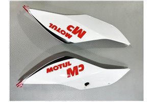 Painted street fairings in abs compatible with Ducati 899 1199 Panigale - MXPCAV14261