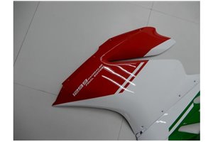 Lackierte Straße Verkleidung auf ABS kompatibel mit Ducati 1299 959 Panigale - MXPCAV14264