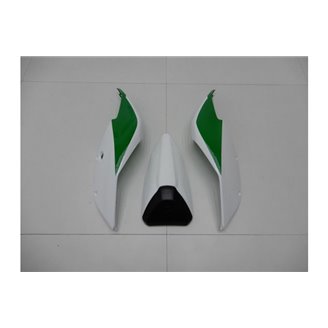 Carenados en abs pintados para la calle compatible con Ducati 1299 959 Panigale - MXPCAV14264