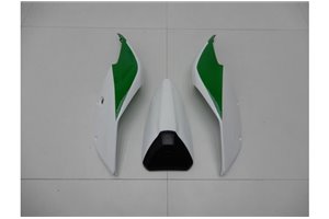 Lackierte Straße Verkleidung auf ABS kompatibel mit Ducati 1299 959 Panigale - MXPCAV14264