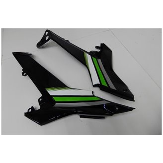 Carenage en abs pour la roue avec peinture compatible avec Kawasaki Ninja 650 2017 - 2019 - MXPCAV14275
