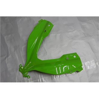 Carene stradali in abs verniciate compatibili con Kawasaki ZX Ninja 300 2013 - 2017 - MXPCAV14287
