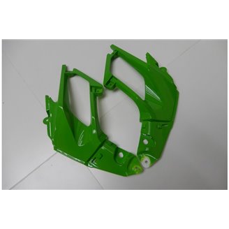 Lackierte Straße Verkleidung auf ABS kompatibel mit Kawasaki EX Ninja 400 2018 - 2022 - MXPCAV14292