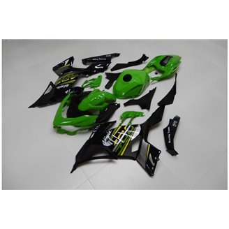 Lackierte Straße Verkleidung auf ABS kompatibel mit Kawasaki EX Ninja 400 2018 - 2022 - MXPCAV14292