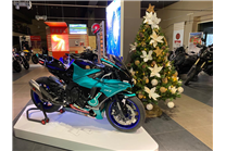 Lackierte Rennverkleidung Yamaha R1 2020 - 2022 + Schrauben, Schnellverschlüsse - MXPCRV14250 2