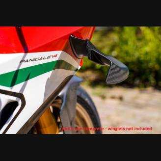 Complete and painted fairings in abs Ducati Panigale V4R for Akrapovic exhaust DUC V4R SP