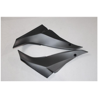 Carenage en abs pour la roue avec peinture compatible avec Kawasaki ZX10R 2008 - 2009 - MXPCAV14360