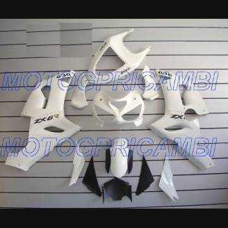 Lackierte Straße Verkleidung auf ABS kompatibel mit Kawasaki ZX6R 636 2005 - 2006 - MXPCAV2174