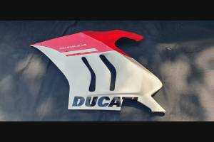 Lackierte Rennverkleidung Ducati Panigale V4 V4S 2020 - MXPCRV12612