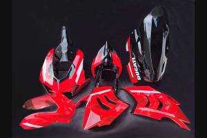 Lackierte Rennverkleidung Ducati Panigale V4 V4S 2020 - 2021 - MXPCRV12621