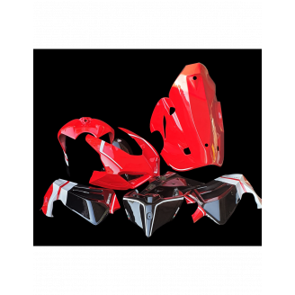 Painted Race Fairings Ducati Panigale V4 V4S 2020 - 2021 - MXPCRV12840