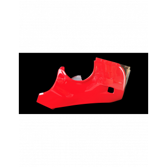 Painted Race Fairings Ducati Panigale V4 V4S 2020 - 2021 - MXPCRV12840