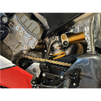 Carene Racing Verniciate Ducati Panigale V4 V4S 2020 - 2021 - MXPCRV14537