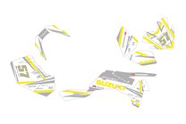 Kit de pegatinas compatible con per SUZUKI QUAD LTR 450 2007 - 2009 - MXPKAD14569