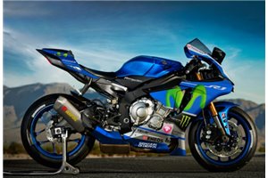 Lackierte Straße Verkleidung auf ABS kompatibel mit Yamaha R1 2015 - 2019 - MXPCAV14715