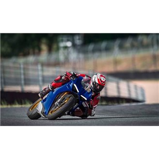 Carenados en abs pintados para la calle compatible con Ducati Panigale V4 V4S 2018 - 2019 - MXPCAV14723
