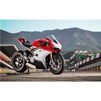 Lackierte Straße Verkleidung auf ABS kompatibel mit Ducati Panigale V4 V4S 2018 - 2019 - MXPCAV14724