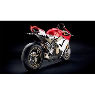 Carenados en abs pintados para la calle compatible con Ducati Panigale V4 V4S 2018 - 2019 - MXPCAV14724