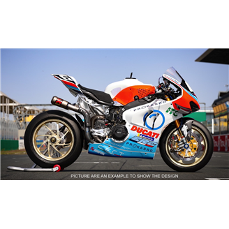 Lackierte Rennverkleidung Ducati Panigale V4 V4S 2022 - MXPCRV14487