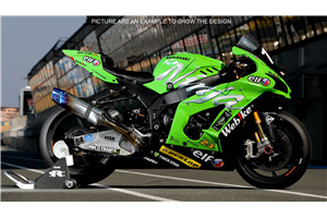 Carene Racing Verniciate Kawasaki Zx10R 2016 - 2020 - MXPCRV14766