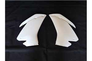 Race Package for Aprilia RSV4 2015 - 2020 : Complete and racing fairings + Fasteners + Screws - MXPCRD11571