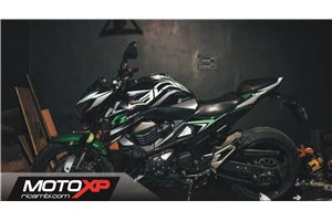 Aufkleber Satz kompatibel mit per KAWASAKI Z800 2013 - 2016 - MXPKAD15353