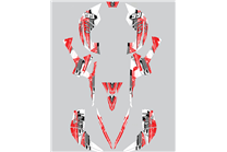 Sticker set compatible with per CAN AM RENEGADE 500 570R 800R 850R 800X 1000R XXC 2005 - MXPKAD14957