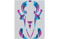 Aufkleber Satz kompatibel mit per CAN AM RENEGADE 500 570R 800R 850R 800X 1000R XXC 2005 - MXPKAD14957