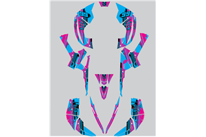Kit adesivi compatibile con per CAN AM RENEGADE 500 570R 800R 850R 800X 1000R XXC 2005 - MXPKAD14957