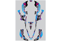 Aufkleber Satz kompatibel mit per CAN AM RENEGADE 500 570R 800R 850R 800X 1000R XXC 2005 - MXPKAD14957