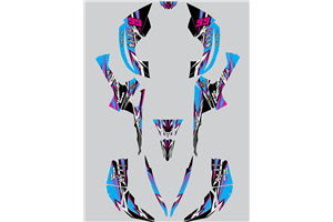 Sticker set compatible with per CAN AM RENEGADE 500 570R 800R 850R 800X 1000R XXC 2005 - MXPKAD14957
