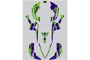 Sticker set compatible with per CAN AM RENEGADE 500 570R 800R 850R 800X 1000R XXC 2005 - MXPKAD14957