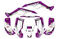 Kit de pegatinas compatible con per HONDA TRX 250EX 2001 - 2004 - MXPKAD14959