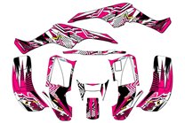 Sticker set compatible with per HONDA TRX 250EX 2001 - 2004 - MXPKAD14959