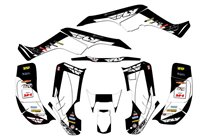 Aufkleber Satz kompatibel mit per HONDA TRX 250EX 2001 - 2004 - MXPKAD14959