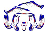 Kit de pegatinas compatible con per HONDA TRX 250EX 2001 - 2004 - MXPKAD14959